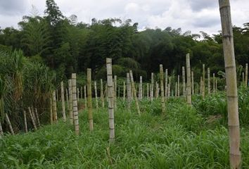 Villa-Quinta en  Lisboa, Manizales