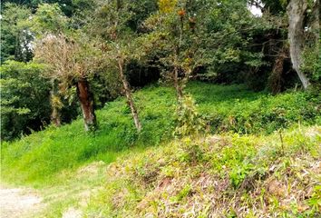 Lote de Terreno en  Rafael Lucio, Veracruz