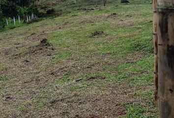 Lote de Terreno en  Carrera 44 12c 29, Santiago De Cali, Cali, Valle Del Cauca, Col