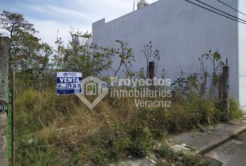 Lote de Terreno en  Bajo Del Jobo, Municipio Veracruz