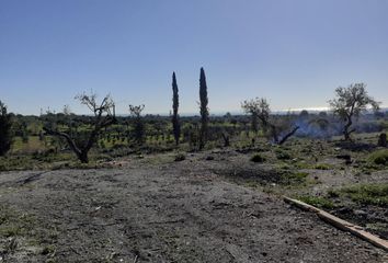 Chalet en  Castellvell Del Camp, Tarragona Provincia