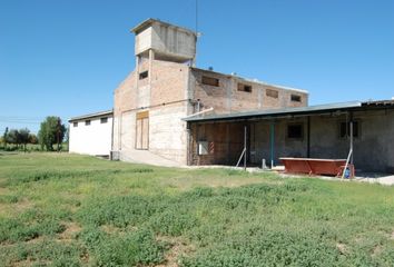 Galpónes/Bodegas en  San Rafael, Mendoza