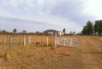 Terrenos en  Colonia Benitez, Chaco