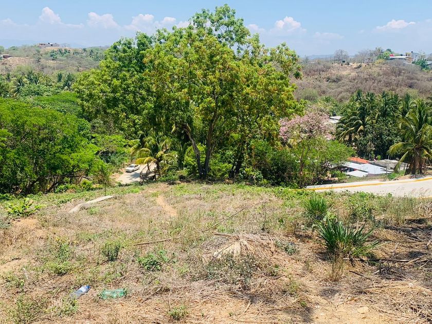 venta Lote de Terreno en Puerto Escondido, Oaxaca, Oaxaca (31108103