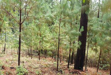 Lote de Terreno en  Avándaro, Valle De Bravo