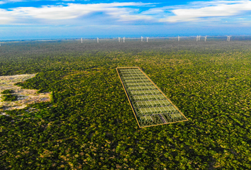 Lote de Terreno en  Chicxulub Puerto, Progreso, Z - Progreso, Yucatán