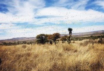 Lote de Terreno en  Rincón De Romos, Aguascalientes, Mex