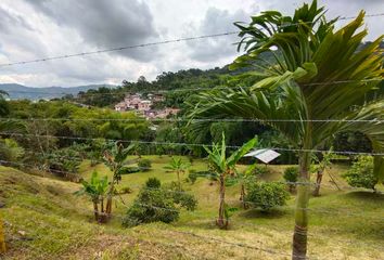 Lote de Terreno en  Las Violetas, Dosquebradas