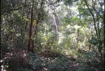 Lote de Terreno en  Sisal, Valladolid, Yucatán