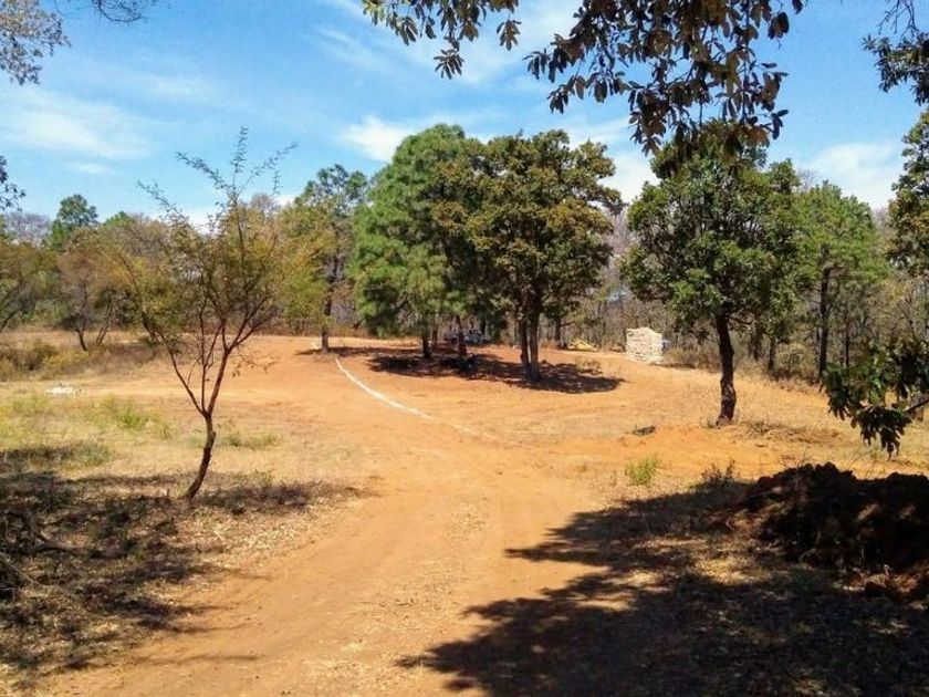 venta Lote de Terreno en Atemajac de Brizuela, Jalisco (pOGQgsz_SALE)-  