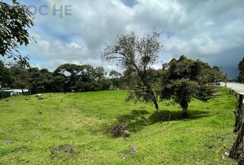 Lote de Terreno en  Rafael Lucio, Veracruz