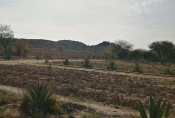 Lote de Terreno en  Las Piedras, San Luis Potosí