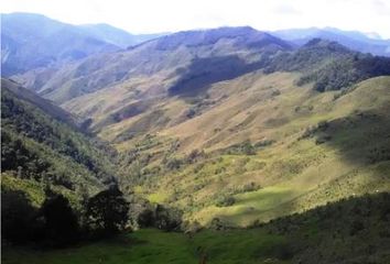 Lote de Terreno en  Urrao, Antioquia
