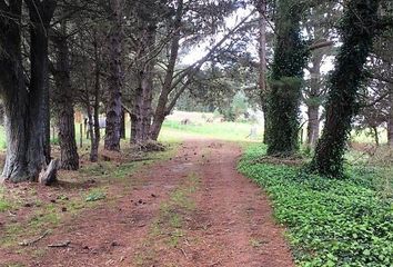 Terrenos en  Torreón, Mar Del Plata