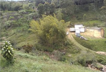 Lote de Terreno en  Nariño, Antioquia