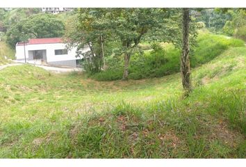 Lote de Terreno en  Circasia, Quindío