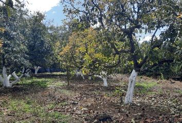 Lote de Terreno en  Valle De Bravo, México, Mex