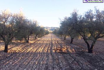 Terreno en  Salinas, Alicante Provincia