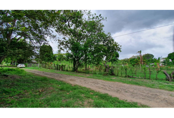 Lotes y Terrenos en  Palmas De Gorgona, Chame