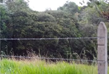 Lote de Terreno en  Corregimiento Julumito, Popayán