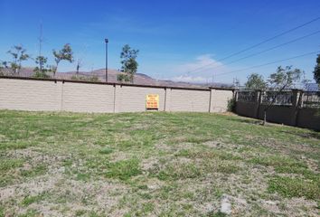 Lote de Terreno en  Calle 5 De Mayo, Barrio Santo Entierro, San Andrés Cholula, Puebla, 72848, Mex