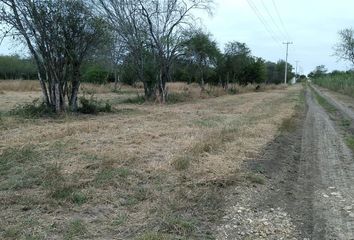 Lote de Terreno en  Montemorelos Centro, Montemorelos