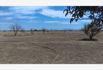 Lote de Terreno en  Matamoros De La Laguna Centro, Matamoros