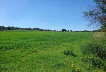 Lote de Terreno en  Bosques De San Juan, San Juan Del Río, Querétaro