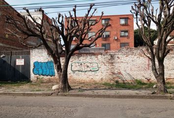 Lote de Terreno en  El Centro, Cúcuta