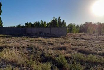 Terrenos en  Malargüe, Mendoza