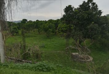 Lote de Terreno en  Parque Ecológico De Viveristas, Acapulco De Juárez