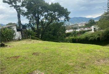 Lote de Terreno en  Centro, Pereira