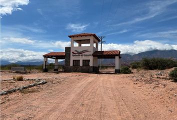 Terrenos en  Cafayate, Salta