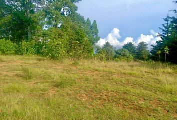 Lote de Terreno en  Valle De Bravo, México, Mex