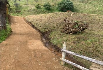 Lote de Terreno en  Liborina, Antioquia