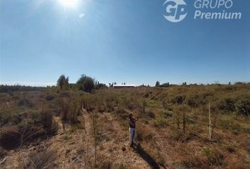 Parcela en  Longaví, Linares