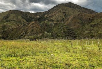 Bodega-Galpon en  Vilcabamba (victoria), Loja