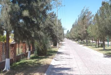 Lote de Terreno en  Principal, San Cristóbal, Dolores Hidalgo, Guanajuato, 37830, Mex