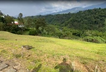 Lote de Terreno en  Manantiales, Norte, Armenia