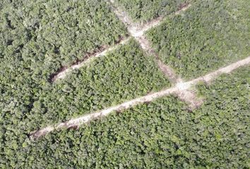 Lote de Terreno en  Coba, Tulum