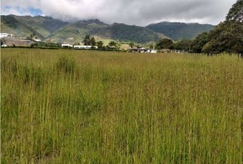 Lote de Terreno en  Centro Poblado, Calima