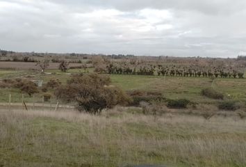 Parcela en  Bulnes, Ñuble (región)