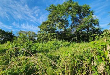 Lote de Terreno en  Bacalar, Bacalar, Bacalar, Quintana Roo