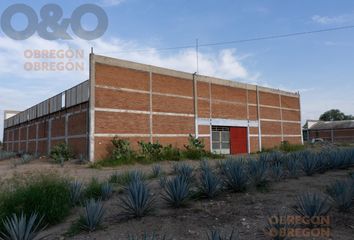 Nave en  Rancho O Rancheria Capellanía De Loera, León