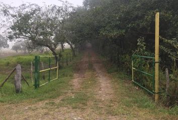 Lote de Terreno en  Bella Vista, Pueblo Viejo, Pueblo Viejo, Veracruz