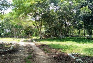 Lote de Terreno en  Hacienda El Cuyo, Tizimín