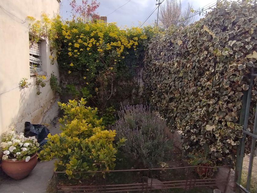alquiler Casa en San Rafael, Mendoza (1026807)