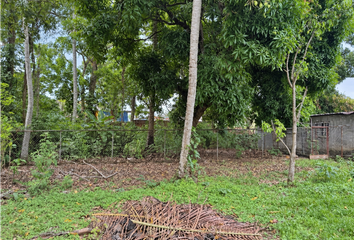 Lotes y Terrenos en  Calle 144 Oeste, Pedregal, Panamá, Pan