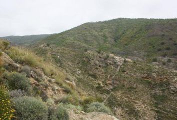 Terreno en  Albuñol, Granada Provincia
