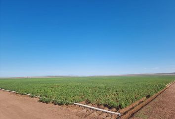 Rancho en  Avenida Benito Juárez 2, Buenaventura Centro, San Buenaventura, Buenaventura, Chihuahua, 31890, Mex